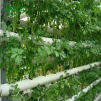 Commercial Growing Vertical Nft Hydroponics PVC Pipe for Greenhouse System